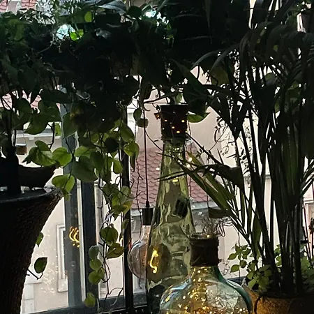 Cosy Avec Terrasse Et Garage