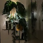 Apartamento Coeur Du Vieux Et Zone De Loisir *